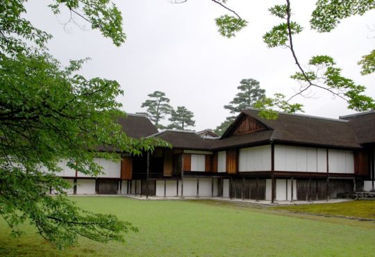 10 Tranquil Digital Detox Getaways to Reclaim Your Calm